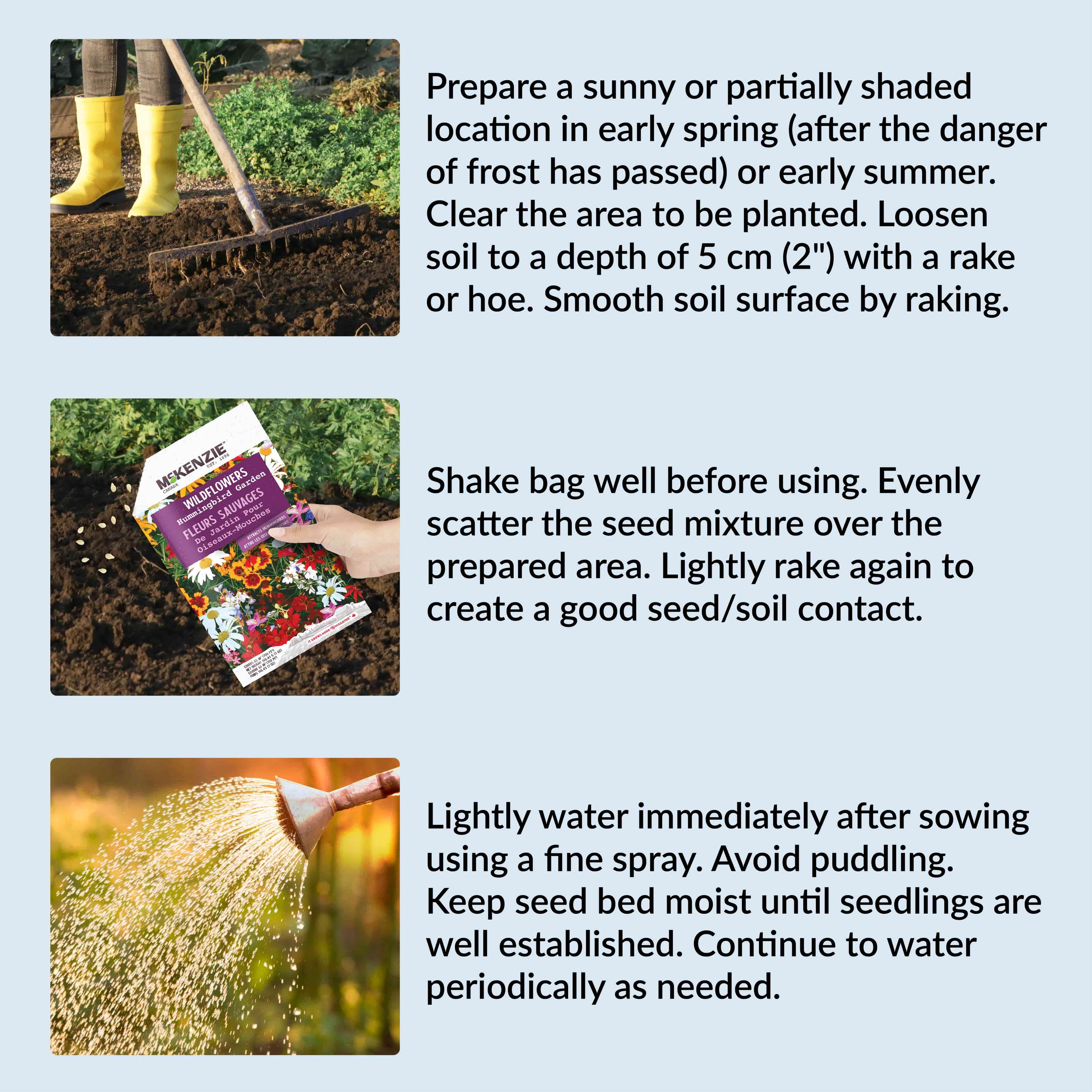 Gardening instructions with images of soil preparation, seed bag, and watering.